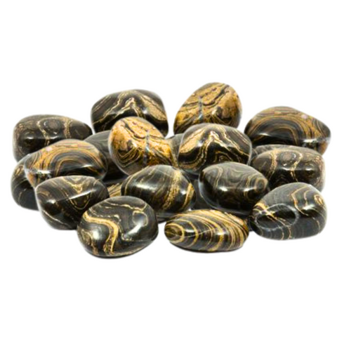 STROMATOLITE TUMBLED STONES